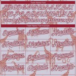 Jersey Authentic Silber-Kardinalgrau und Muster Schlange Giraffe Baseball 3D Custom Design Jersey Authentic Silber-Kardinalgrau und Muster Schlange Giraffe Baseball 3D Custom Design