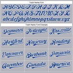 Jersey Royal-Weiß Baseball Authentic Custom Grau Jersey Royal-Weiß Baseball Authentic Custom Grau